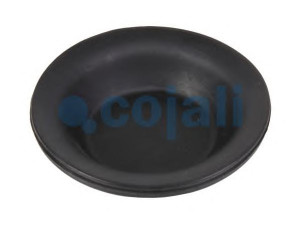 COJALI 6001100 membrana, spyruoklinis cilindras