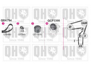 QUINTON HAZELL QBPK7940 vandens siurblio ir paskirstymo diržo komplektas 
 Aušinimo sistema -> Vandens siurblys/tarpiklis -> Vandens siurblys