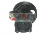 LAUBER 55.0366 hidraulinis siurblys, vairo sistema 
 Vairavimas -> Vairo pavara/siurblys
9631923580