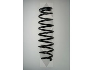 SPIDAN 55395 spyruoklė 
 Pakaba -> Spyruoklės
51401-S50-G11