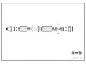 CORTECO 19031630 stabdžių žarnelė 
 Stabdžių sistema -> Stabdžių žarnelės
46845598