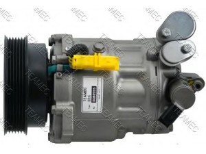 TEAMEC 8608555 kompresorius, oro kondicionierius 
 Oro kondicionavimas -> Kompresorius/dalys
6453PR, 6453SH, 6453VJ, 6453XW