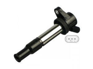 DELPHI GN10389-12B1 ritė, uždegimas 
 Kibirkšties / kaitinamasis uždegimas -> Uždegimo ritė
25181813, 28063913, 96414260, 25181813