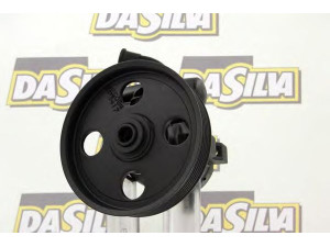 DA SILVA DP2597 hidraulinis siurblys, vairo sistema 
 Vairavimas -> Vairo pavara/siurblys
4007.Y2