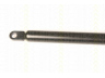 TRISCAN 8710 9003 dujinė spyruoklė