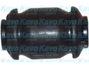 KAVO PARTS SCR-4075 valdymo svirties/išilginių svirčių įvorė 
 Ašies montavimas/vairavimo mechanizmas/ratai -> Valdymo svirtis/pasukamosios svirties sujungimas -> Montavimas/sutvirtinimas
545511E000