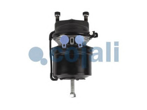 COJALI 2251534 spyruoklinis stabdžių cilindras