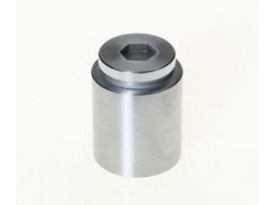BUDWEG CALIPER 233604 stūmoklis, stabdžių apkaba