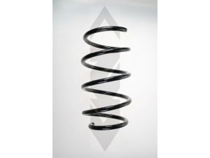 SPIDAN 56955 spyruoklė 
 Pakaba -> Spyruoklės
31 33 6 769 006