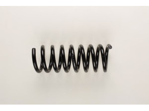 BILSTEIN 36-159512 spyruoklė
140 324 16 04