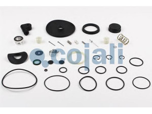 COJALI 6012109 remonto komplektas, stabdymo jėgos reguliatorius