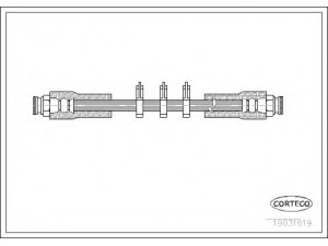 CORTECO 19031619 stabdžių žarnelė 
 Stabdžių sistema -> Stabdžių žarnelės
60588022