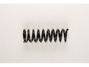 BILSTEIN 36-154036 spyruoklė 
 Pakaba -> Spyruoklės
202 321 12 04