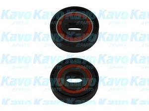 KAVO PARTS DTE-2001 įtempiklio skriemulys, paskirstymo diržas 
 Techninės priežiūros dalys -> Papildomas remontas
13404P13003