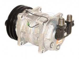 ELECTRO AUTO 20F0039 kompresorius, oro kondicionierius