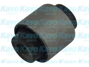 KAVO PARTS SCR-2015 valdymo svirties/išilginių svirčių įvorė 
 Ašies montavimas/vairavimo mechanizmas/ratai -> Valdymo svirtis/pasukamosios svirties sujungimas -> Montavimas/sutvirtinimas
52395SH0A01, 52395SH3004, 52395SK7004