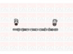 FAI AutoParts C256 skirstomasis velenas 
 Variklis -> Variklio uždegimo laiko reguliavimo kontrolė -> Skirstomasis velenas
1300100QAD, 506071, 8200019181