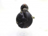 ALANKO 441081 starteris
E7HZ11002A, E9HT11001BA, E9HZ11002A