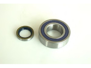 SCT Germany SCP 1325 rato guolio komplektas 
 Ašies montavimas/vairavimo mechanizmas/ratai -> Rato stebulė/montavimas -> Rato guolis
2121-2403080