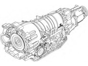 ZF 1071 042 328 automatinė pavarų dėžė 
 Transmisija -> Automatinė pavarų dėžė -> Transmisija
 6 HP 19 A - AUDI_VW
09L 300 041D