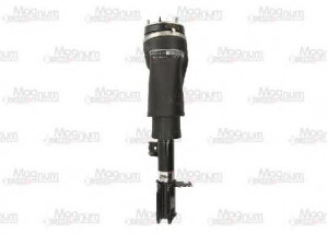 Magnum Technology APL003MT amortizatorius 
 Pakaba -> Amortizatorius
RNB000750