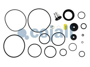 COJALI 6016045 remonto komplektas, greitinimo vožtuvas