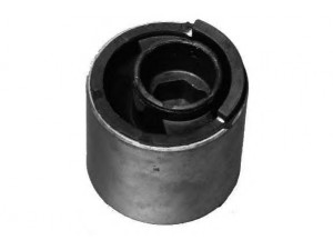 MOOG BM-SB-2232 valdymo svirties/išilginių svirčių įvorė 
 Ašies montavimas/vairavimo mechanizmas/ratai -> Valdymo svirtis/pasukamosios svirties sujungimas -> Montavimas/sutvirtinimas
31111096982, 31111096982