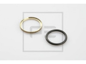 PE Automotive 076.241-00A prispaudimo žiedas
0 206 784, 206784