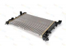THERMOTEC D7F038TT radiatorius, variklio aušinimas 
 Aušinimo sistema -> Radiatorius/alyvos aušintuvas -> Radiatorius/dalys
51784706