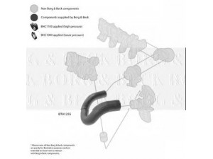 BORG & BECK BTH1255 kompresoriaus padavimo žarna 
 Išmetimo sistema -> Turbokompresorius
0382X2, 0382X2, 0382.X2