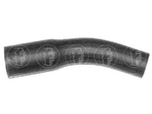 FARE SA 8354 radiatoriaus žarna 
 Aušinimo sistema -> Žarnelės/vamzdeliai/sujungimai -> Radiatoriaus žarnos
6182766