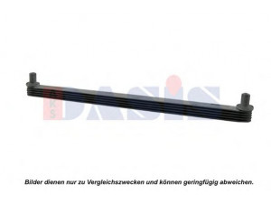 AKS DASIS 689274N vandens bakas, radiatorius