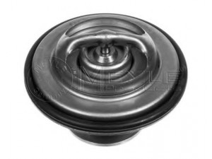 MEYLE 028 280 0004 termostatas, aušinimo skystis 
 Aušinimo sistema -> Termostatas/tarpiklis -> Thermostat
11 53 1 710 953, 11 53 1 710 954