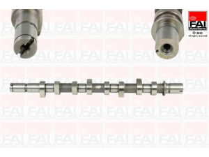 FAI AutoParts C253 skirstomasis velenas 
 Variklis -> Variklio uždegimo laiko reguliavimo kontrolė -> Skirstomasis velenas
13001BN700, 8200089894