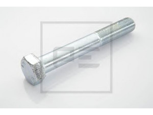 PE Automotive 010.517-00A varžtas
000960 016247