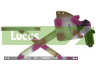 LUCAS ELECTRICAL WRL1165R lango pakėliklis 
 Vidaus įranga -> Elektrinis lango pakėliklis