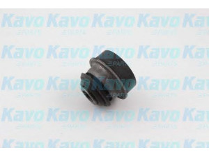 KAVO PARTS SCR-6551 valdymo svirties/išilginių svirčių įvorė 
 Ašies montavimas/vairavimo mechanizmas/ratai -> Valdymo svirtis/pasukamosios svirties sujungimas -> Montavimas/sutvirtinimas
5454590J00
