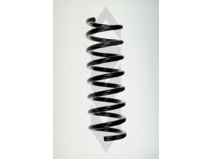 SPIDAN 55751 spyruoklė 
 Pakaba -> Spyruoklės
202 324 3104