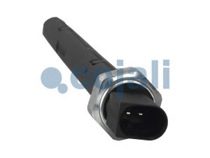 COJALI 2260378 jutiklis, variklio alyvos lygis
0041534428