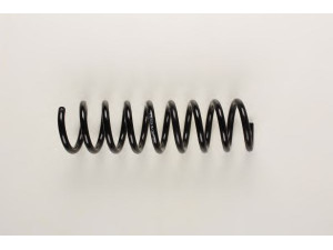 BILSTEIN 36-129607 spyruoklė 
 Pakaba -> Spyruoklės
210 321 28 04