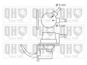 QUINTON HAZELL QFP19 kuro siurblys 
 Degalų tiekimo sistema -> Kuro siurblys/dalys -> Kuro siurblys
035 127 025G