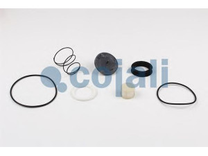 COJALI 6012189 remonto komplektas