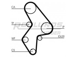 ROULUNDS RUBBER RR1104 paskirstymo diržas 
 Techninės priežiūros dalys -> Papildomas remontas
0000081658, 081622, 081658, 93010362