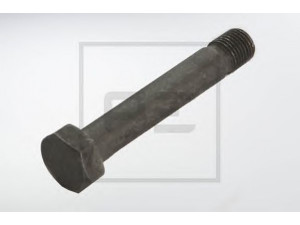PE Automotive 013.099-00A varžtas