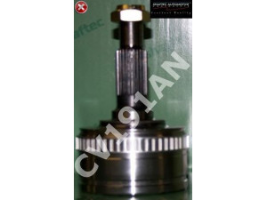 SHAFTEC CV191AN jungtis, kardaninis velenas 
 Ratų pavara -> Sujungimai/komplektas
0003300036