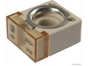 HERTH+BUSS ELPARTS 50295886 saugiklis
1047754