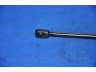 PARTS-MALL PQD-206 dujinė spyruoklė, bagažinė 
 Priedai -> Bagažinė/pakrovimo skyrius
7143021101, 7143021102, P7143021101