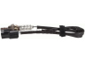 BOSCH F 00E 263 105 lambda jutiklis 
 Variklis -> Variklio elektra
392103CDA0, 39210 3CDA0, 39210 3CDC0