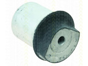 TRISCAN 8500 24843 stebulės laikiklio įvorė 
 Ašies montavimas/vairavimo mechanizmas/ratai -> Ašies atrama/ašies korpusas/ašies montavimas -> Pasukamojo veleno sujungimas
5402634