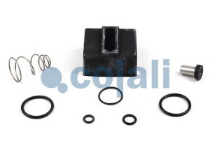 COJALI 6019031 remonto komplektas; remonto komplektas, stovėjimo stabdžio vožtuvas